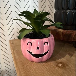 Pink Pumpkin Faux Halloween Succulent